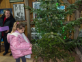 MS-Lipovljani-Advent-u-staglju-2025.-21