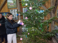 MS-Lipovljani-Advent-u-staglju-2025.-29