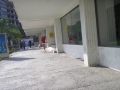 budva-beton