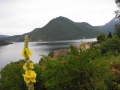 perast-jutro-2
