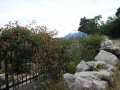perast-jutro-5