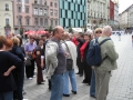 brno-8