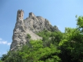 devin-1
