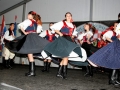 lipa-na-ls-2014