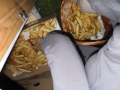 sam_3071