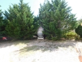 DSCN0031