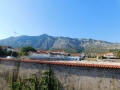 DSCN0040