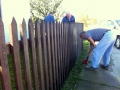 1-img_2174