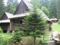 picture-7