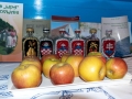 MS-Lipovljani-Noc-muzeja-2025-5
